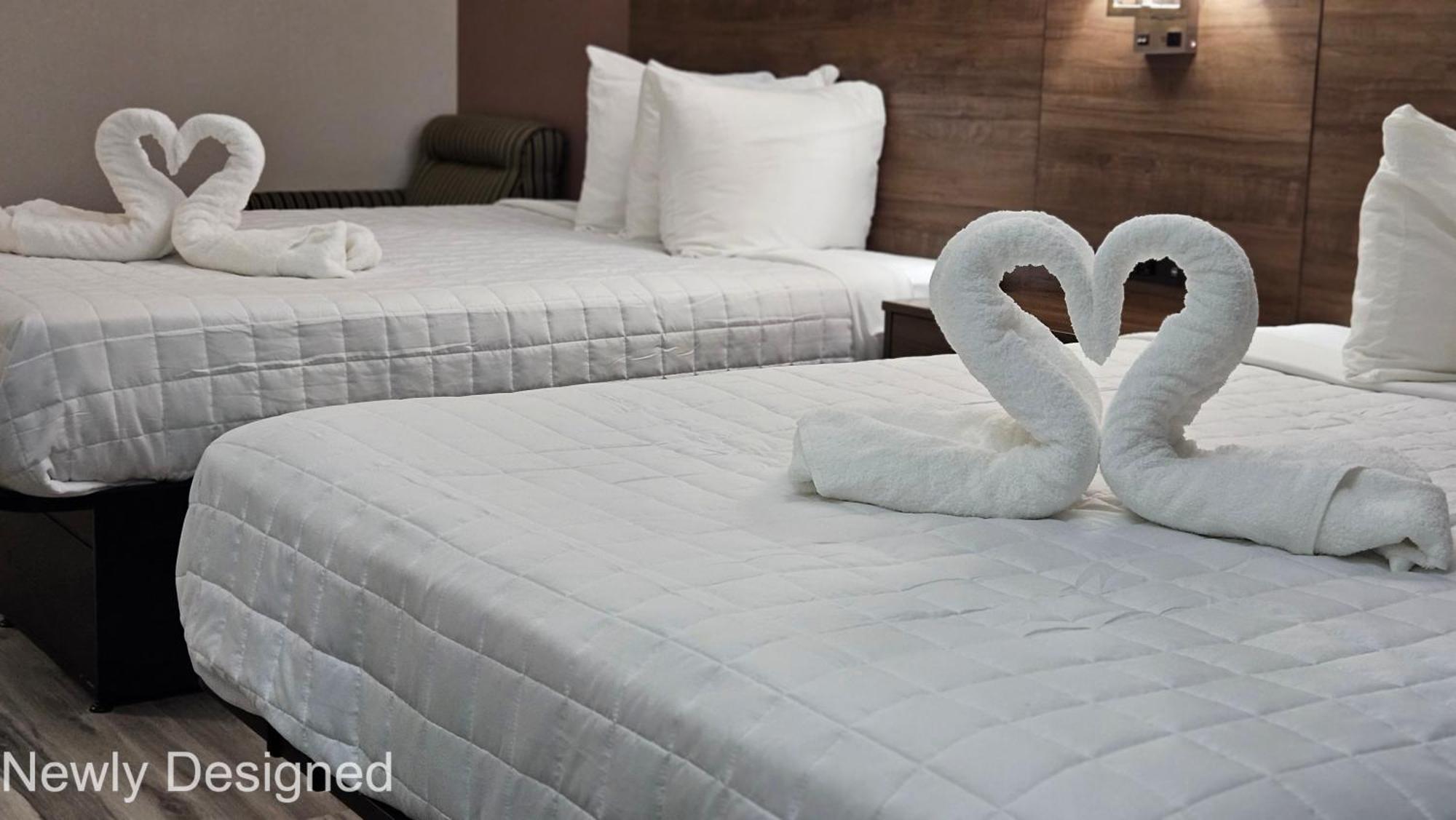 Best Western Hopkinsville Ky - Brand New Rooms Εξωτερικό φωτογραφία
